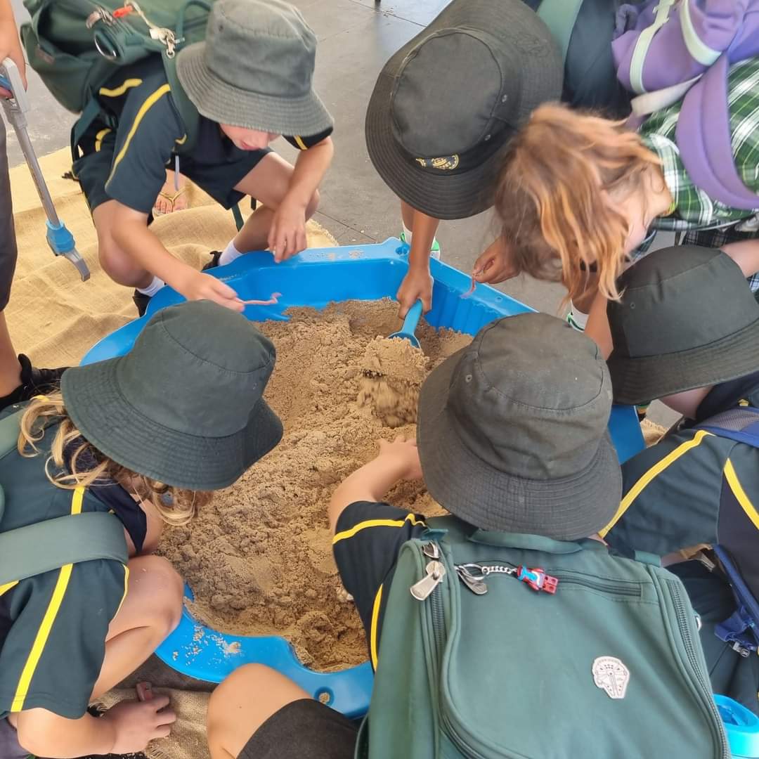 FB_IMG_1716877175161